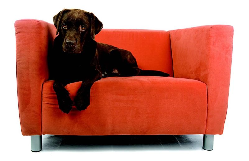 upholstery-cleaning-orange-county